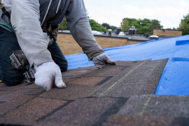 Best Flat Roof Repair Services  in Spirit Lake, IA