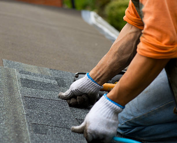 Best Roof Gutter Cleaning  in Spirit Lake, IA